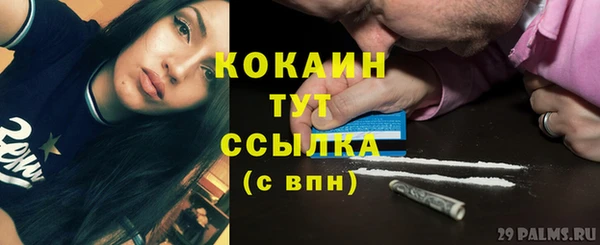 сатива Валуйки