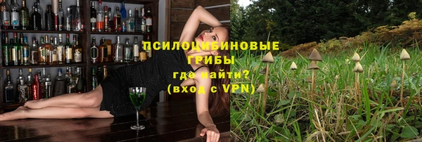 сатива Валуйки