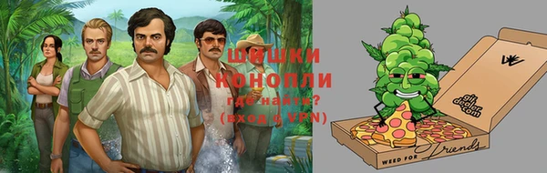 трава Болотное