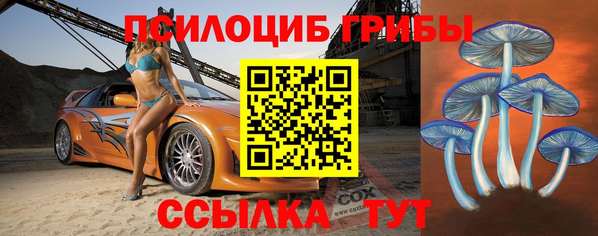 Псилоцибиновые грибы MAGIC MUSHROOMS  Псилоцибиновые грибы Psilocybine cubensis  Гурьевск 