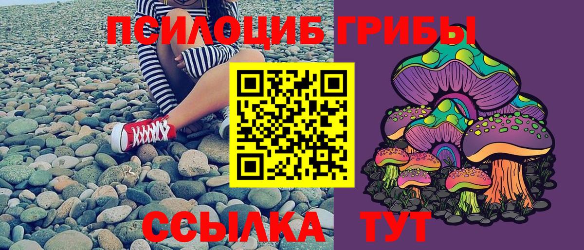 ГАШ  Лсд 25  МЕТ  КОКАИН  Экстази  Марихуана  МЕФ кристаллы  Меф кристаллы  Гурьевск  ГЕРОИН 